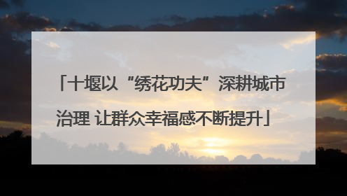 十堰以“绣花功夫”深耕城市治理 让群众幸福感不断提升