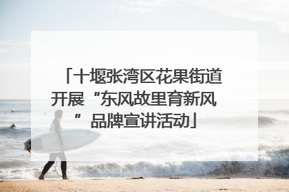 十堰张湾区花果街道开展“东风故里育新风”品牌宣讲活动