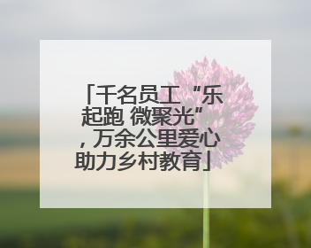 千名员工“乐起跑 微聚光”，万余公里爱心助力乡村教育
