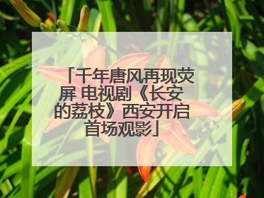 千年唐风再现荧屏 电视剧《长安的荔枝》西安开启首场观影