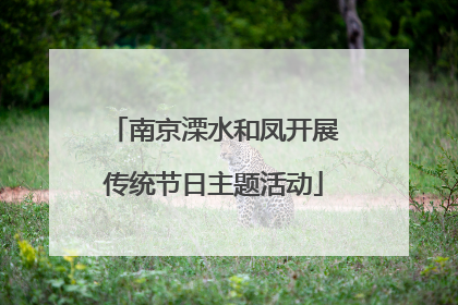 南京溧水和凤开展传统节日主题活动