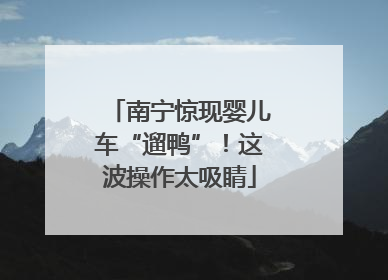 南宁惊现婴儿车“遛鸭”！这波操作太吸睛