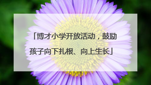 博才小学开放活动，鼓励孩子向下扎根、向上生长