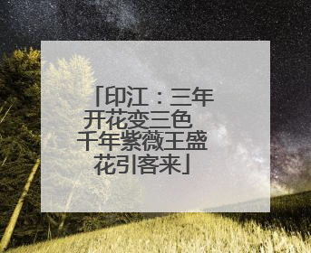 印江：三年开花变三色 千年紫薇王盛花引客来
