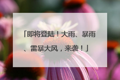 即将登陆！大雨、暴雨、雷暴大风，来袭！