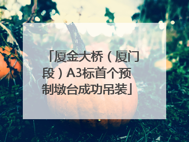 厦金大桥（厦门段）A3标首个预制墩台成功吊装