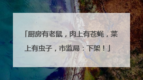 厨房有老鼠，肉上有苍蝇，菜上有虫子，市监局：下架！
