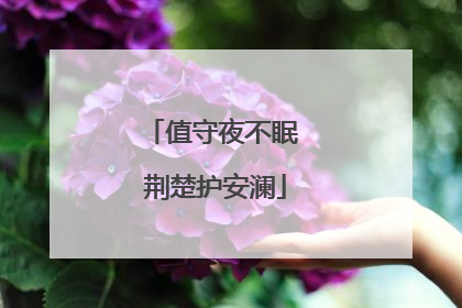 值守夜不眠 荆楚护安澜