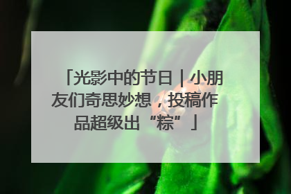 光影中的节日｜小朋友们奇思妙想，投稿作品超级出“粽”