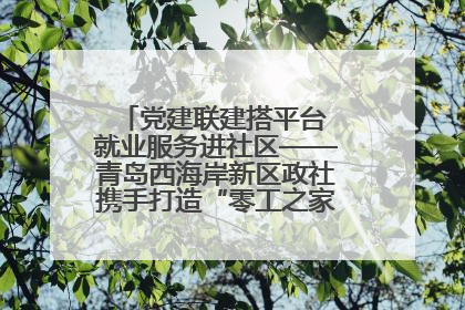 党建联建搭平台 就业服务进社区——青岛西海岸新区政社携手打造“零工之家”就业服务新阵地