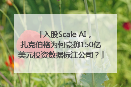 入股Scale AI，扎克伯格为何豪掷150亿美元投资数据标注公司？