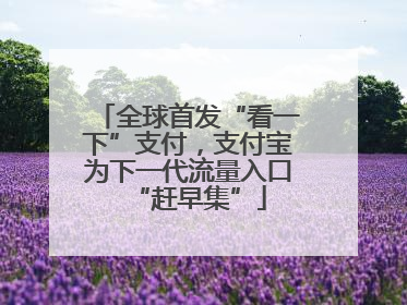 全球首发“看一下”支付，支付宝为下一代流量入口“赶早集”