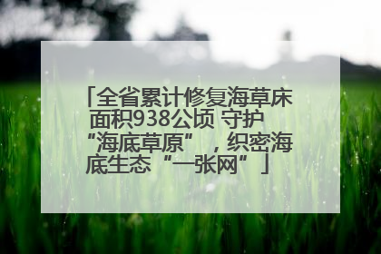 全省累计修复海草床面积938公顷 守护“海底草原”，织密海底生态“一张网”