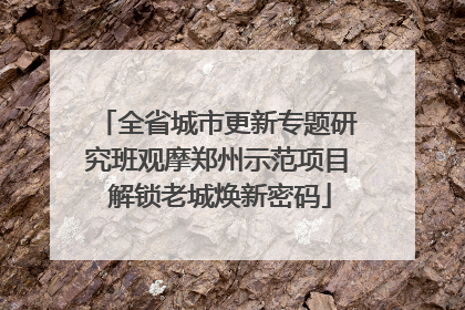 全省城市更新专题研究班观摩郑州示范项目 解锁老城焕新密码