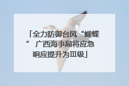 全力防御台风“蝴蝶” 广西海事局将应急响应提升为Ⅲ级