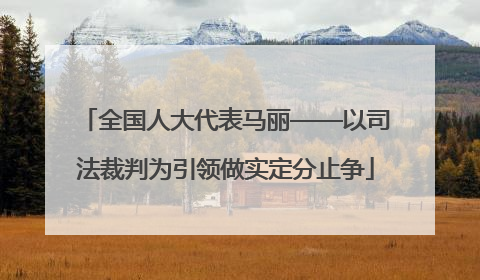 全国人大代表马丽——以司法裁判为引领做实定分止争
