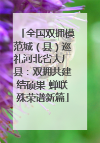 全国双拥模范城（县）巡礼河北省大厂县：双拥共建结硕果 蝉联殊荣谱新篇