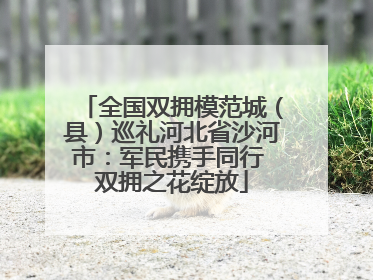 全国双拥模范城（县）巡礼河北省沙河市：军民携手同行 双拥之花绽放