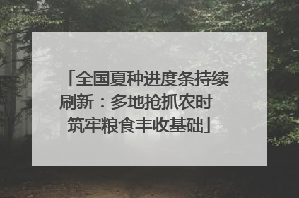 全国夏种进度条持续刷新：多地抢抓农时 筑牢粮食丰收基础