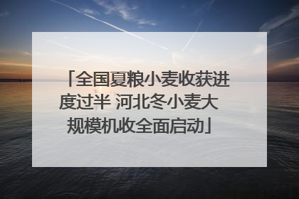 全国夏粮小麦收获进度过半 河北冬小麦大规模机收全面启动