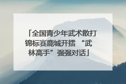 全国青少年武术散打锦标赛鹿城开擂 “武林高手”强强对话