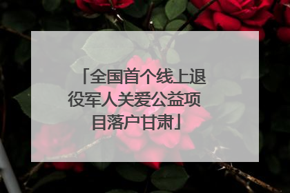 全国首个线上退役军人关爱公益项目落户甘肃