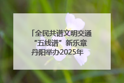 全民共谱文明交通“五线谱”新乐章 丹阳举办2025年“文明交通 同心同行”主题宣传活动