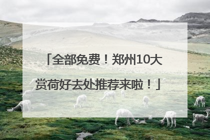 全部免费！郑州10大赏荷好去处推荐来啦！