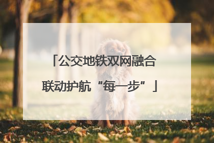 公交地铁双网融合 联动护航“每一步”