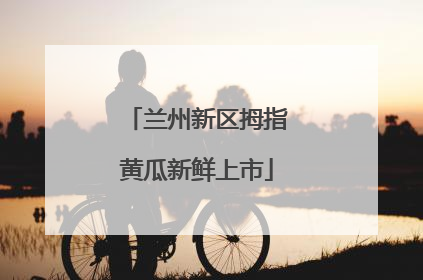 兰州新区拇指黄瓜新鲜上市
