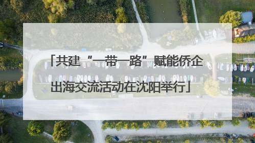 共建“一带一路”赋能侨企出海交流活动在沈阳举行