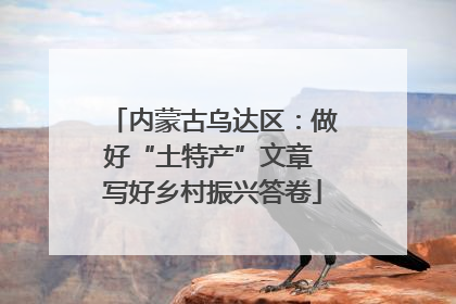 内蒙古乌达区：做好“土特产”文章 写好乡村振兴答卷