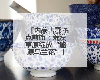 内蒙古鄂托克前旗：荒漠草原绽放“能源马兰花”