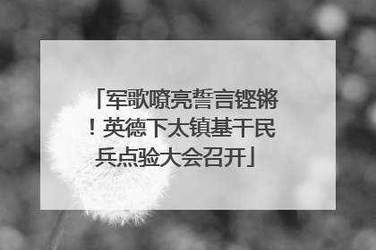 军歌嘹亮誓言铿锵！英德下太镇基干民兵点验大会召开