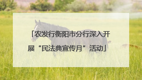 农发行衡阳市分行深入开展“民法典宣传月”活动