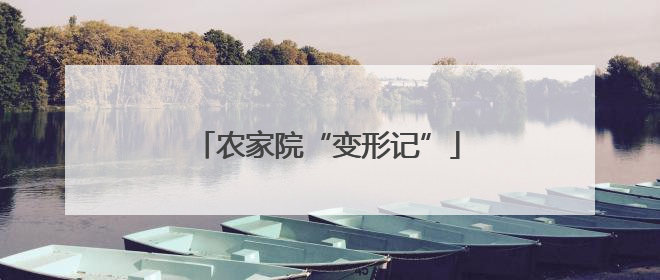 农家院“变形记”