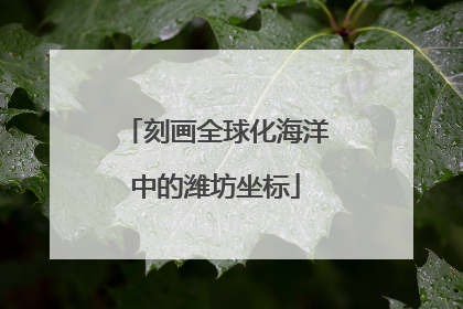 刻画全球化海洋中的潍坊坐标