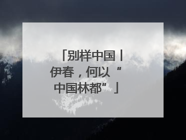 别样中国丨伊春，何以“中国林都”