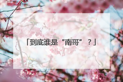 到底谁是“南哥”？