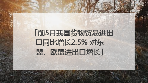 前5月我国货物贸易进出口同比增长2.5% 对东盟、欧盟进出口增长
