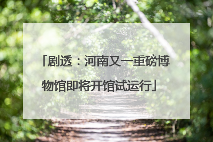 剧透：河南又一重磅博物馆即将开馆试运行