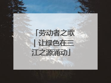 劳动者之歌｜让绿色在三江之源涌动