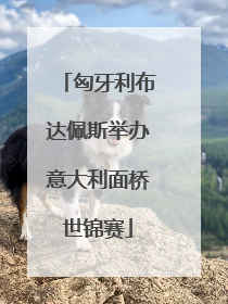 匈牙利布达佩斯举办意大利面桥世锦赛
