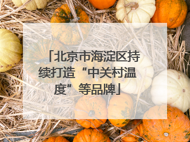 北京市海淀区持续打造“中关村温度”等品牌