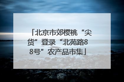 北京市郊樱桃“尖货”登录“北苑路88号”农产品市集