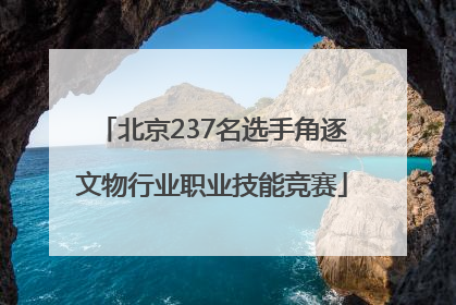北京237名选手角逐文物行业职业技能竞赛