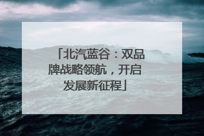 北汽蓝谷：双品牌战略领航，开启发展新征程