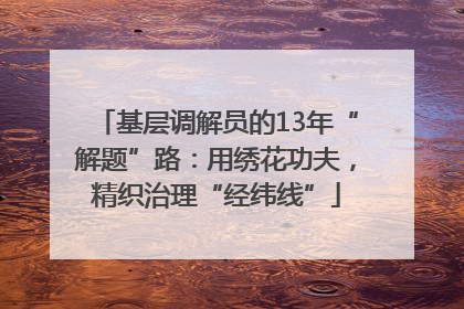 基层调解员的13年“解题”路：用绣花功夫，精织治理“经纬线”