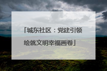 城东社区：党建引领绘就文明幸福画卷