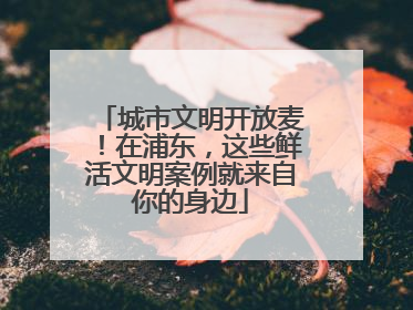 城市文明开放麦！在浦东，这些鲜活文明案例就来自你的身边